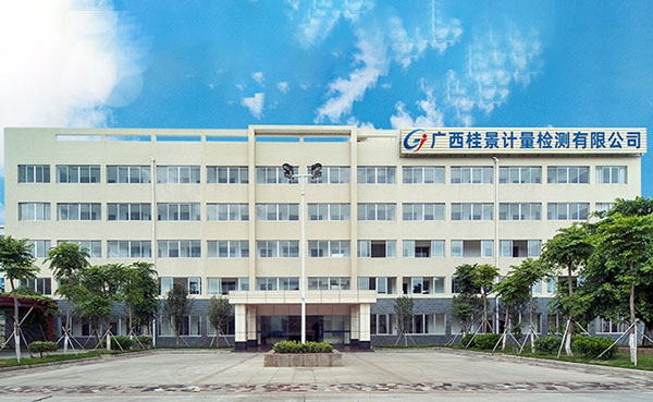 柳州市工信局關於“麻豆性爱视频麻豆AV免费观看服務平台能力建設項目”通過驗收的文件